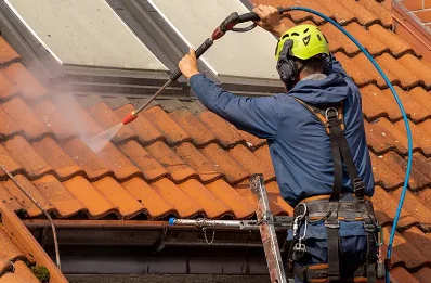 Démoussage et hydrofuge de toiture à Roche-Vineuse